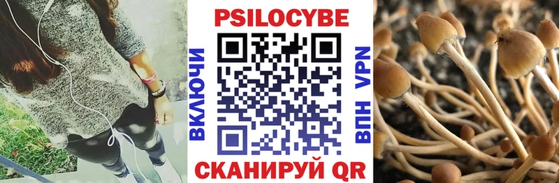 Псилоцибиновые грибы Psilocybine cubensis  Славск 