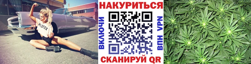 Канабис MAZAR  Славск 